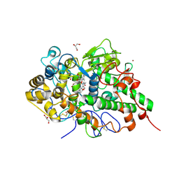 BU of 6l5g by Molmil