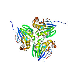 AU of 6l7g by Molmil