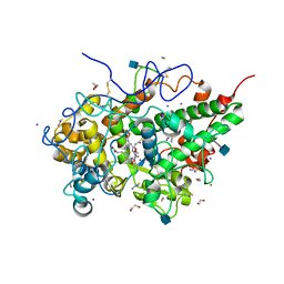 AU of 6laq by Molmil