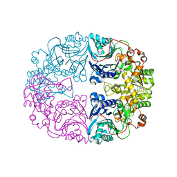 BU of 6lbp by Molmil