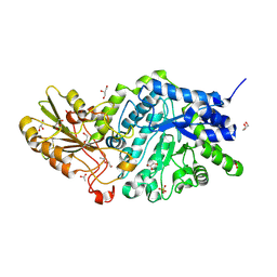 BU of 6lbv by Molmil