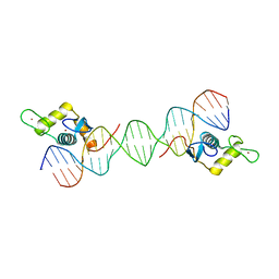 BU of 6lc1 by Molmil