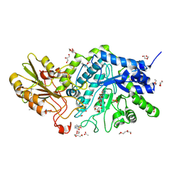 BU of 6lc5 by Molmil