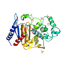 BU of 6lc8 by Molmil