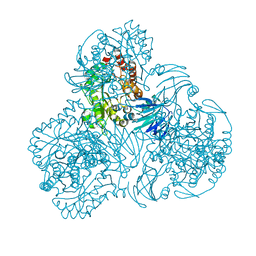 BU of 6lcl by Molmil