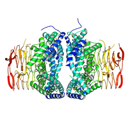 BU of 6lcn by Molmil