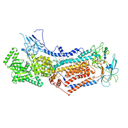 BU of 6lcp by Molmil