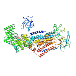 BU of 6lcr by Molmil