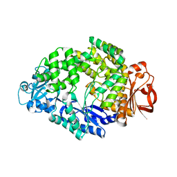 BU of 6lcu by Molmil