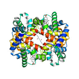 BU of 6lcx by Molmil