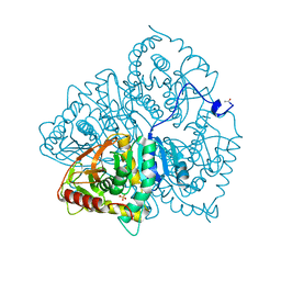 BU of 6ldh by Molmil