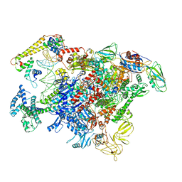 BU of 6ldi by Molmil