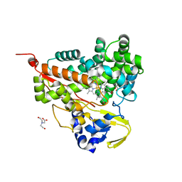 BU of 6ldl by Molmil