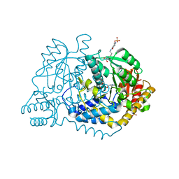 BU of 6ldr by Molmil