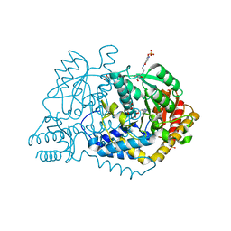 BU of 6ldt by Molmil