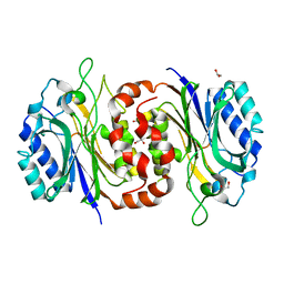 BU of 6led by Molmil