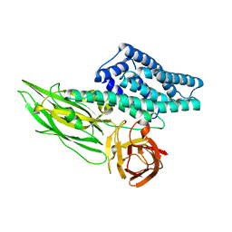 BU of 6lfp by Molmil