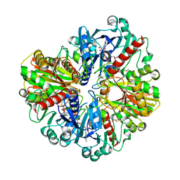 BU of 6lgm by Molmil