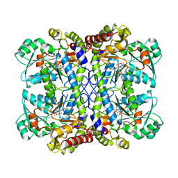 BU of 6lgo by Molmil