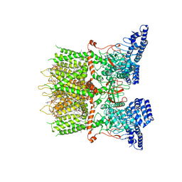 BU of 6lgp by Molmil