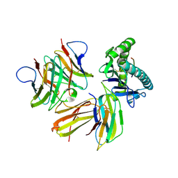 BU of 6lhg by Molmil