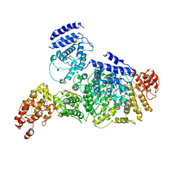 BU of 6lhs by Molmil