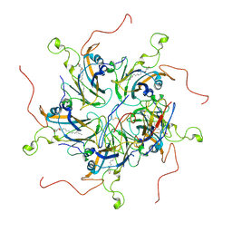 BU of 6lht by Molmil