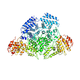 BU of 6lhu by Molmil