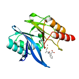 BU of 6lj1 by Molmil