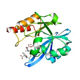 BU of 6lj2 by Molmil