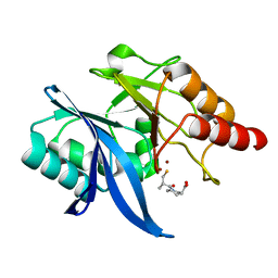 BU of 6lj4 by Molmil