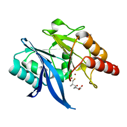 BU of 6lj5 by Molmil