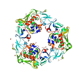 BU of 6ll4 by Molmil