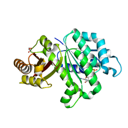 BU of 6ll5 by Molmil