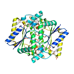 BU of 6llc by Molmil