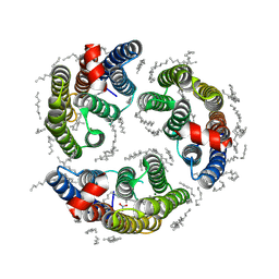 BU of 6lm1 by Molmil