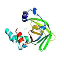 BU of 6lm2 by Molmil