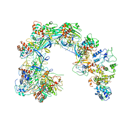 BU of 6lnb by Molmil