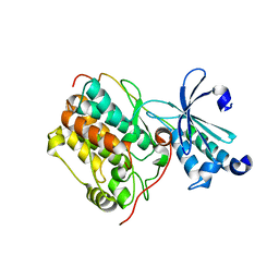 BU of 6lnm by Molmil