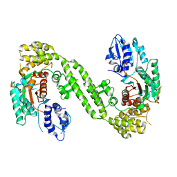 BU of 6lpc by Molmil