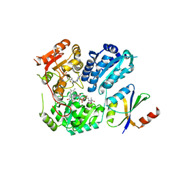 BU of 6lpi by Molmil