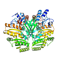 BU of 6lpn by Molmil