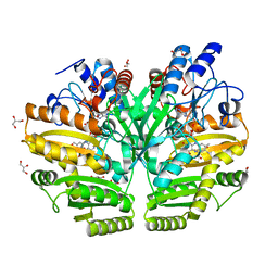 BU of 6lpp by Molmil