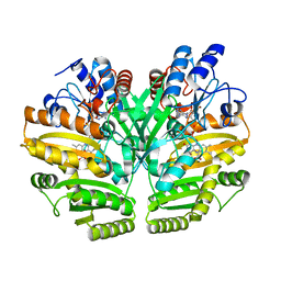 BU of 6lpt by Molmil