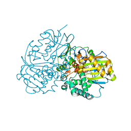 BU of 6lqc by Molmil