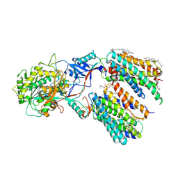 BU of 6lr4 by Molmil