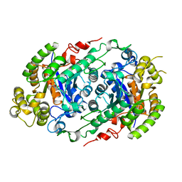 AU of 6lr5 by Molmil