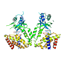 BU of 6lre by Molmil