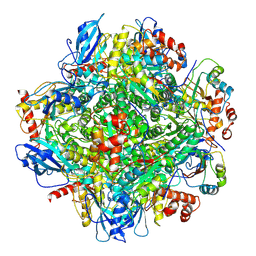 BU of 6lrs by Molmil