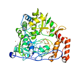 BU of 6lsf by Molmil